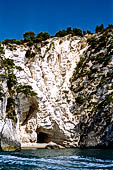 La costa cesellata di grotte create dall'erosione del calcare con anfratti; rientranze e rotture.
